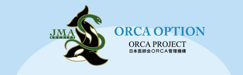 ORCAオプション